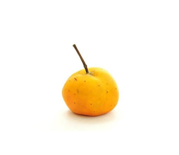 TEJOCOTE